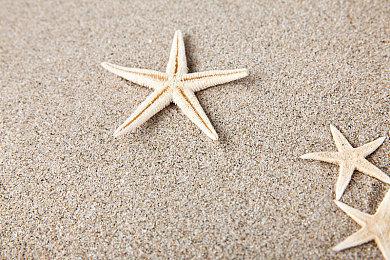 《双人成行》开发商新游戏疑似使用姐妹双主角